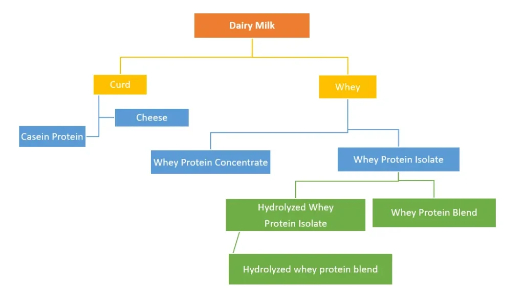 Making of Whey Proteins